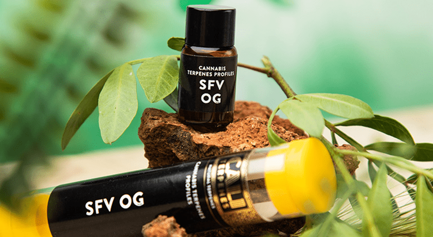 Esenciální Svět Cali Terpenů | Upinsmoke.cz